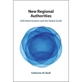 New Regional Authorities - Hardcover
