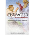 The Sacred Feminine: Searching for the Hidden Face of God - Paperback