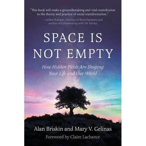 Space Is Not Empty: How Hidden Fields Are Shaping Your Life and Our World - Paperback