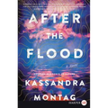 After the Flood - Paperback