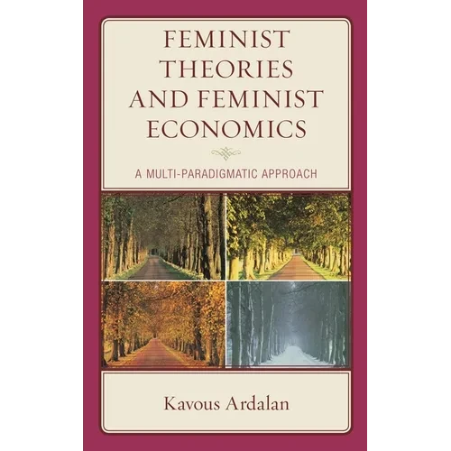 Feminist Theories and Feminist Economics: A Multi-Paradigmatic Approach - Paperback
