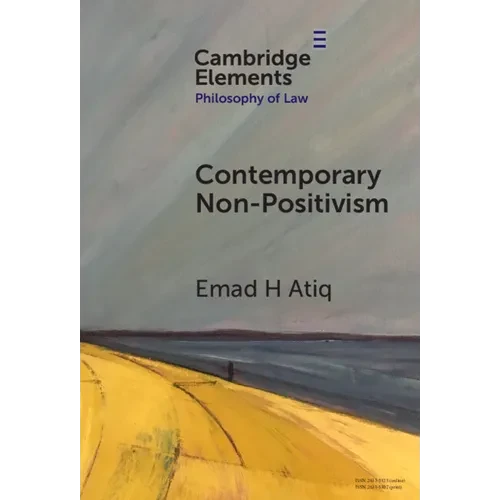 Contemporary Non-Positivism - Hardcover