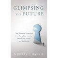 Glimpsing the Future - Hardcover