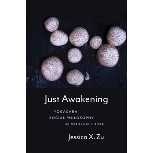 Just Awakening: Yogācāra Social Philosophy in Modern China - Paperback