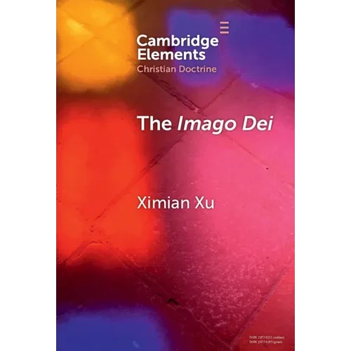 The Imago Dei: A Holistic Account - Hardcover