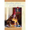 A Calm Place in the Storm: Buddhist Teachings on Finding Wisdom and Compassion - Hardcover