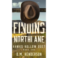 Finding Northlane: A MUST-READ heartfelt and steamy strangers-to-lovers, small-town, single dad, age gap, cowboy romance - Hardcover