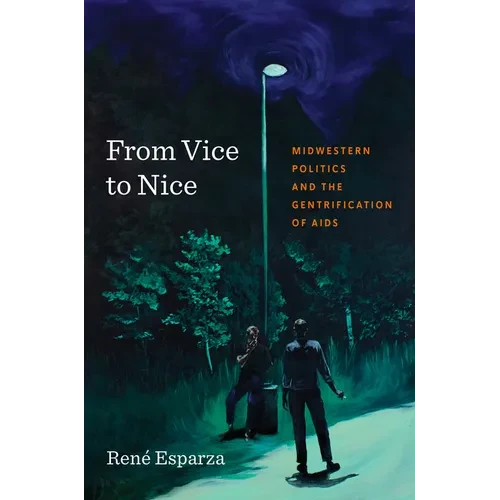 From Vice to Nice: Midwestern Politics and the Gentrification of AIDS - Paperback