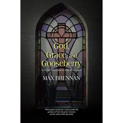 God, Grace, and Gooseberry: 101 Brief Encounters with the Gospel - Paperback