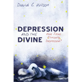 Depression and the Divine: Was Jesus Clinically Depressed? - Paperback