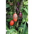 Cocoa and Chocolate - Their History from Plantation to Consumer - Hardcover