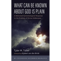 What Can Be Known about God Is Plain: A Reformed-Epistemological Response to the Problem of Divine Hiddenness - Hardcover