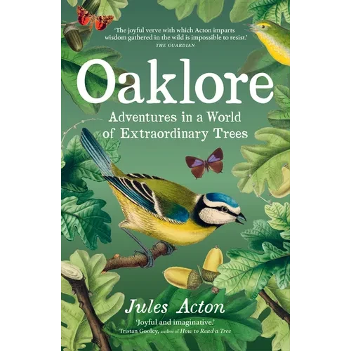 Oaklore: Adventures in a World of Extraordinary Trees - Paperback
