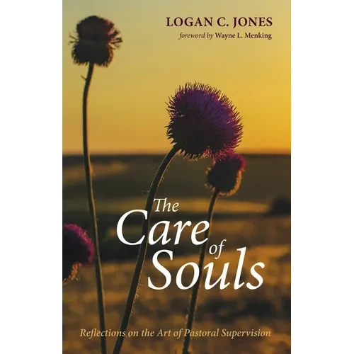 The Care of Souls: Reflections on the Art of Pastoral Supervision - Hardcover