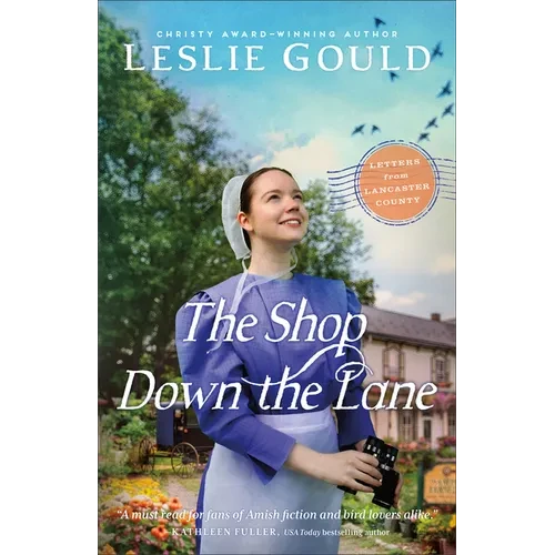 The Shop Down the Lane - Paperback