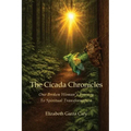 The Cicada Chronicles: One Broken Woman's Journey To Spiritual Transformation - Paperback