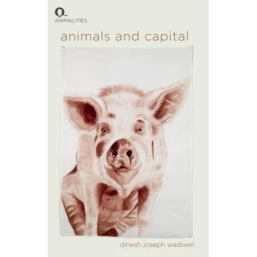 Animals and Capital - Paperback