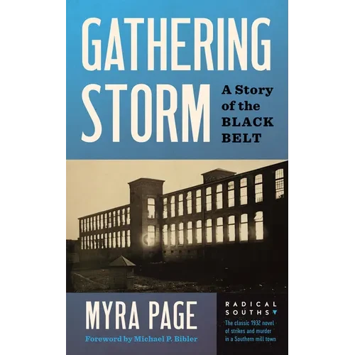 Gathering Storm: A Story of the Black Belt - Hardcover