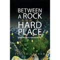 Between a Rock and a Hard Place: Public Theology in a Post-Secular Age