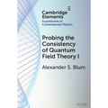 Probing the Consistency of Quantum Field Theory I: From Nonconvergence to Haag's Theorem (1949-1954) - Hardcover