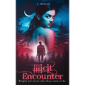 Illicit Encounter - Hardcover