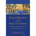 Providence in the Story of Scripture: The Work of God through Creation, Fall, Redemption, and New Creation - Hardcover