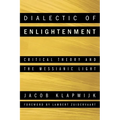 Dialectic of Enlightenment: Critical Theory and the Messianic Light - Hardcover