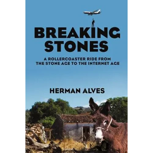 Breaking Stones: A Rollercoaster Ride from the Stone Age to the Internet Age - Paperback