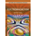 Electromagnetism: Volume 2: Lectures on Theoretical Physics - Paperback