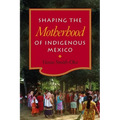 Shaping the Motherhood of Indigenous Mexico - Paperback