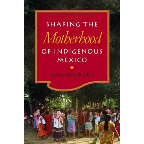 Shaping the Motherhood of Indigenous Mexico - Paperback