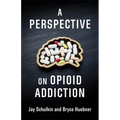 A Perspective on Opioid Addiction - Paperback